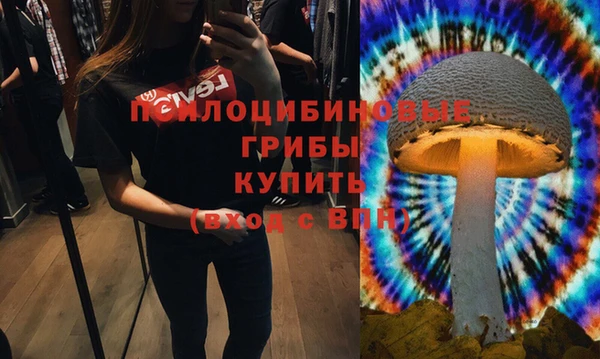 кокаин Белокуриха
