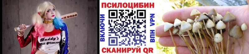 Псилоцибиновые грибы Magic Shrooms  Свободный 