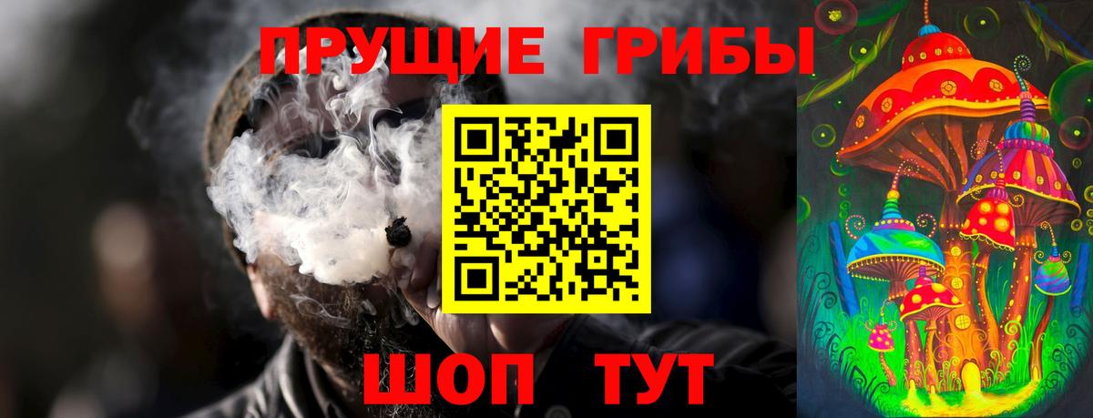 Псилоцибиновые грибы Psilocybine cubensis Свободный