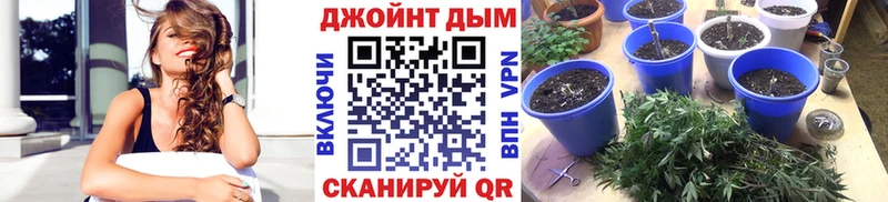 Бошки марихуана гибрид  hydra ССЫЛКА  Свободный 